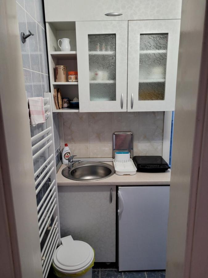 Apartmani Apolon Vrdnik Eksteriør bilde
