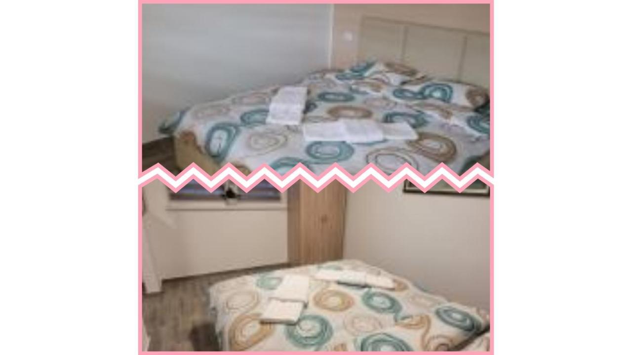 Apartmani Apolon Vrdnik Eksteriør bilde