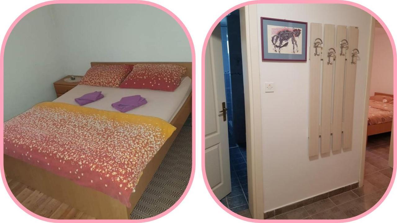 Apartmani Apolon Vrdnik Eksteriør bilde